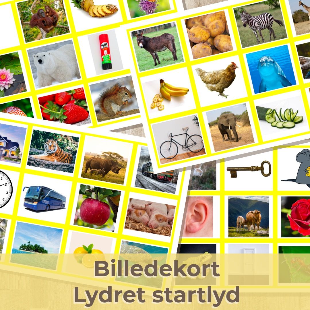 Startlydskort – lydret