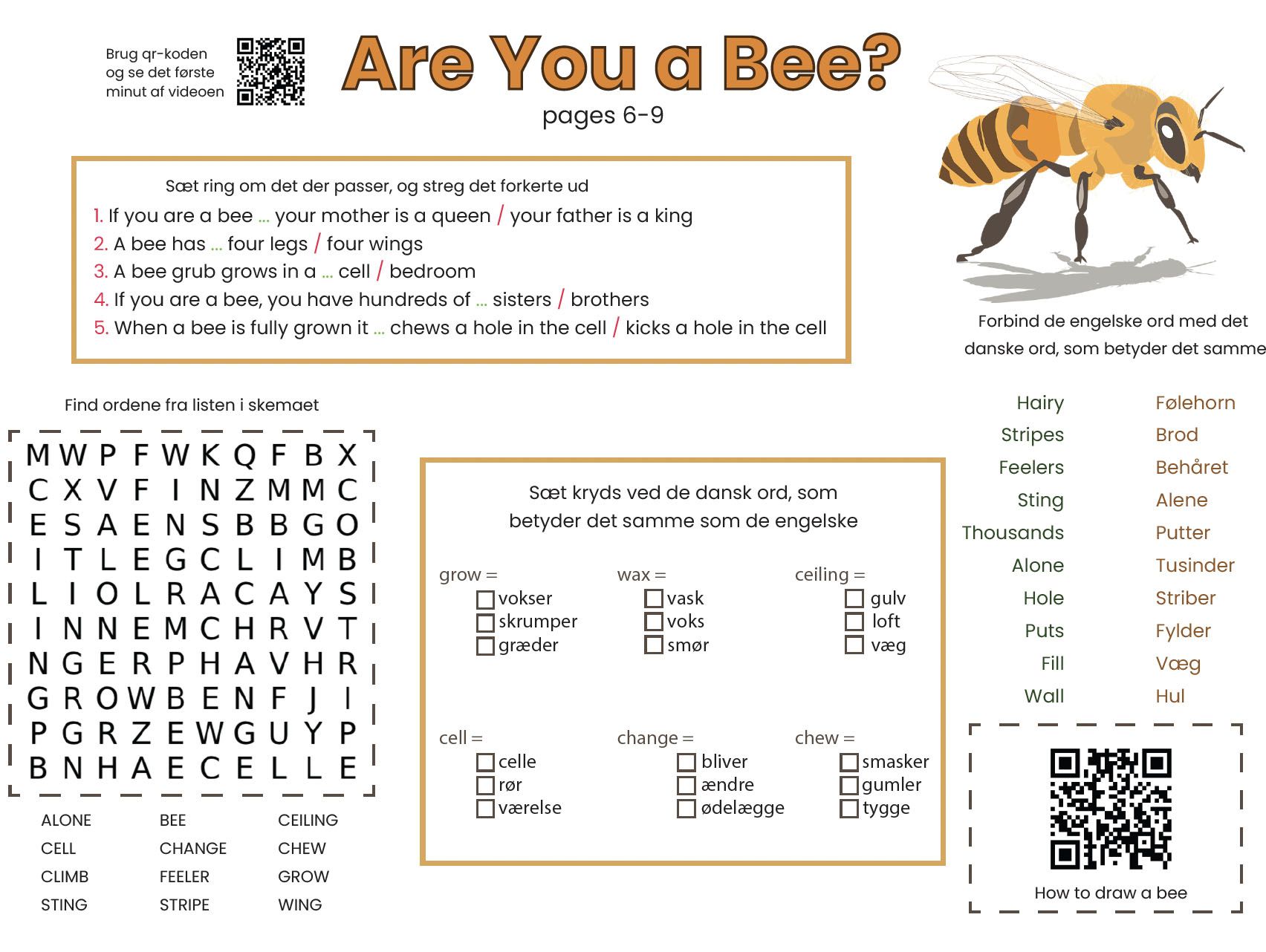 Are You a Bee? (opgaver til bogen)